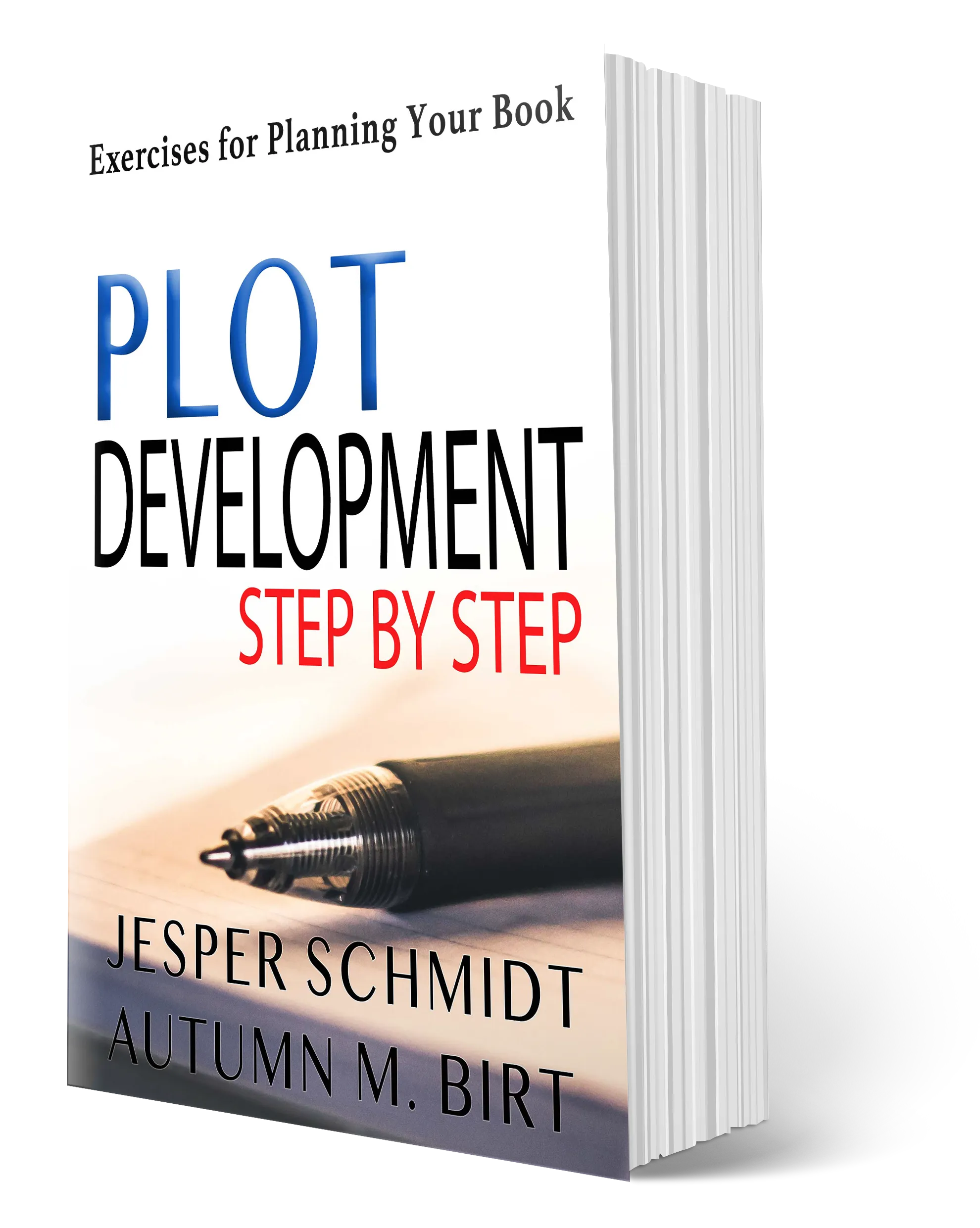 Plot Development Step by Step Workbook non-fiction book